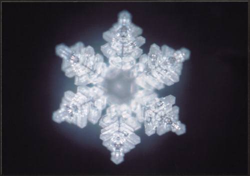 Imagery of "Truth" from Dr. Emoto's Lab