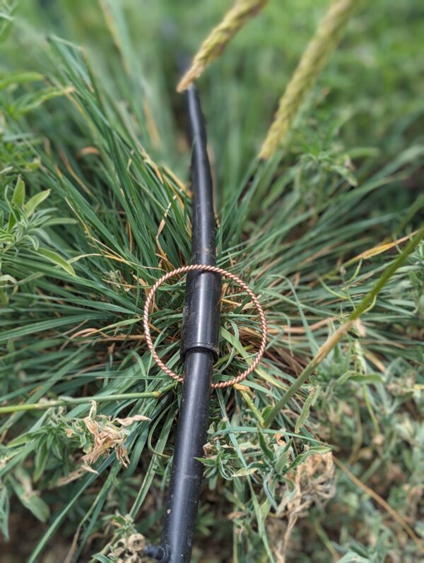 Sacred ½ Cubit Plain Jane Tensor Ring - Image 2
