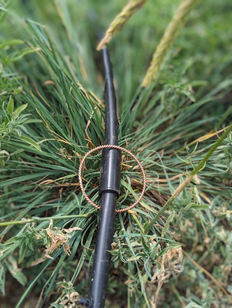 Plain Jane Ring on irrigation piping