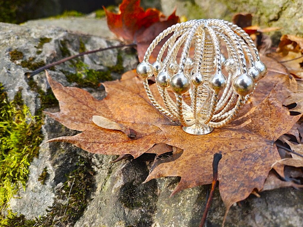 Light-Life Synergy Harmonizer (silver) sitting on a large fallen leaf